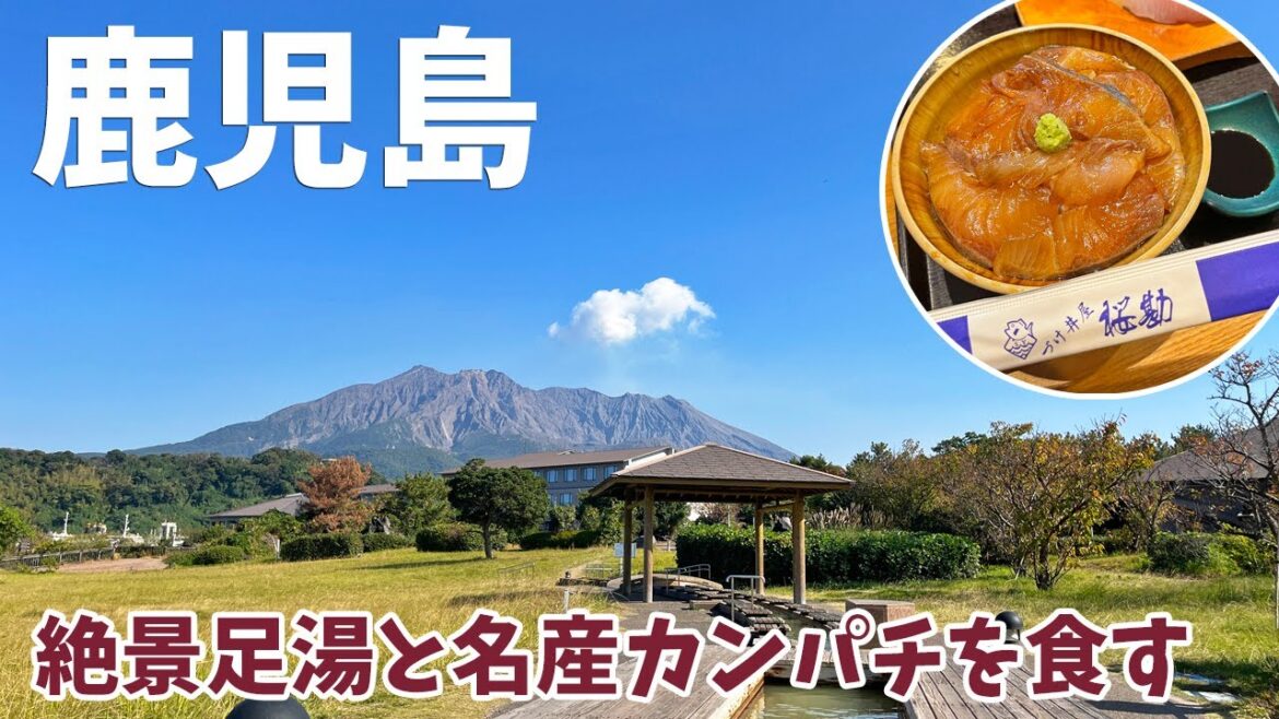 [ 鹿児島県の旅 ]　#2 鹿児島グルメ『 づけ丼屋 桜勘 』 / 桜島フェリー / 絶景の足湯『 桜島溶岩なぎさ公園 』 / 無料で見学できるイルカショー『 かごしま水族館 イルカ水路 』