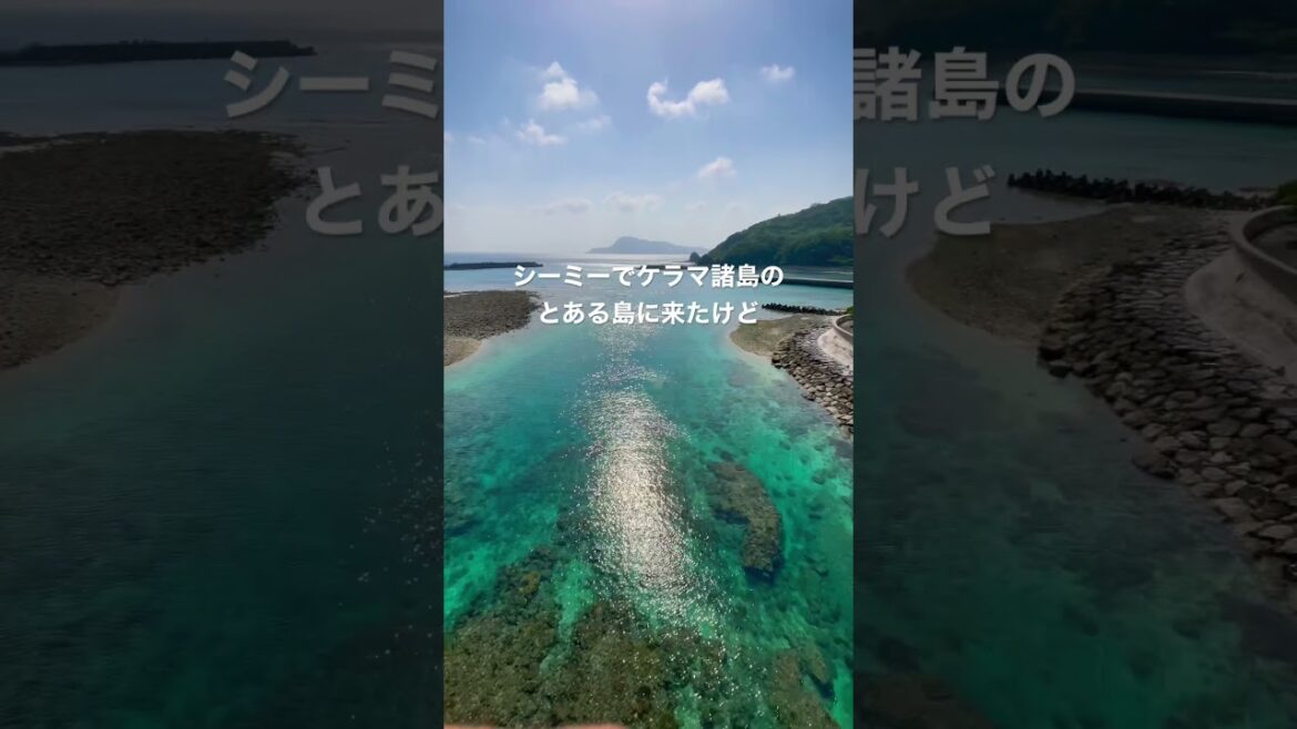 慶良間諸島のお墓でピクニックして散歩してたらこの学校がやばすぎる#shorts 慶良間諸島のお墓でピクニックして散歩してたらこの学校がやばすぎる#shorts