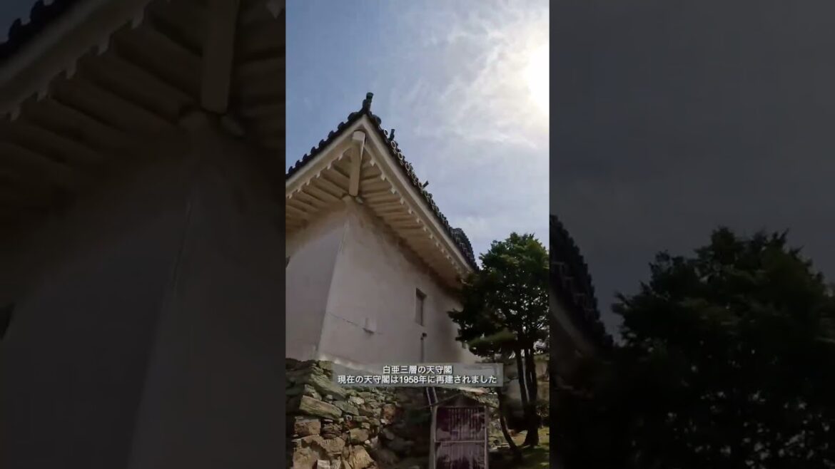 【和歌山城】和歌山桜の名所　徳川御三家のひとつ　紀州徳川家の居城　#shorts