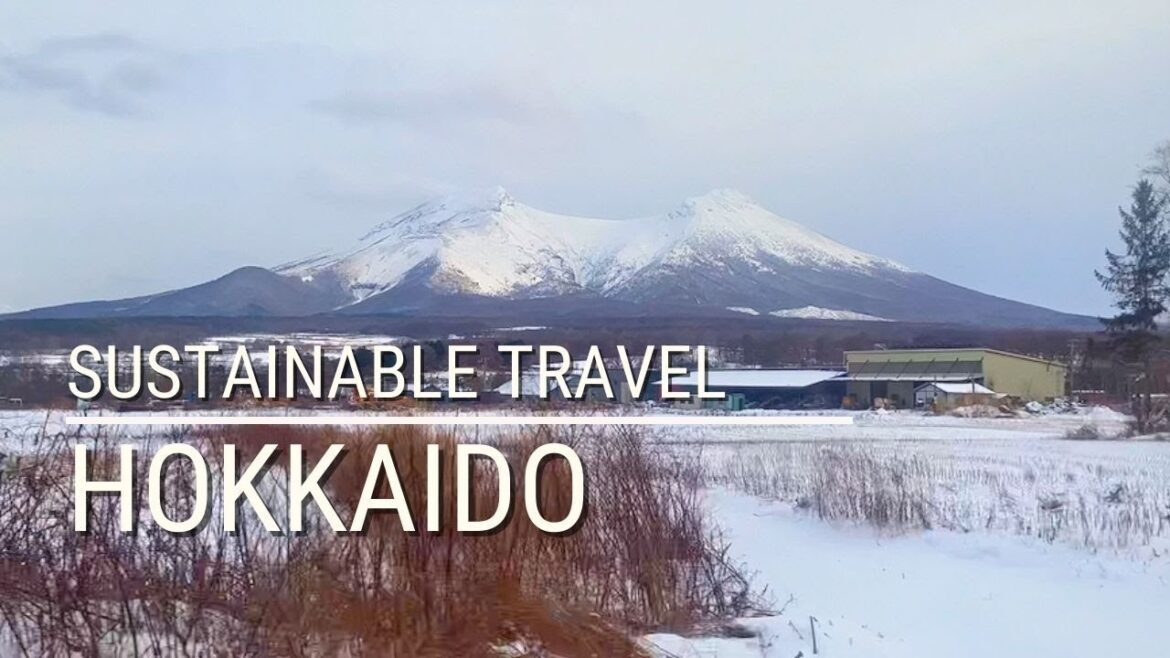 Vegan Travel in Hokkaido | Snowy Scenery | Sustainable ⛄️