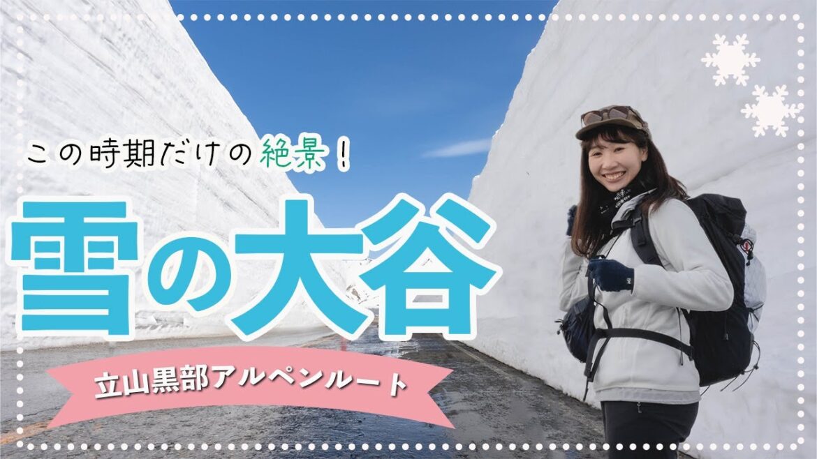立山黒部アルペンルートの雪の大谷!この時期にしか見れない絶景を見逃せない!! 立山黒部アルペンルートの雪の大谷!この時期にしか見れない絶景を見逃せない!!