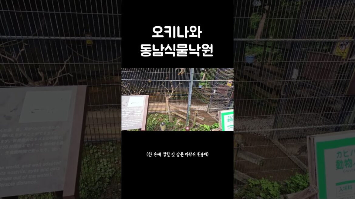 신기한 동식물을 만날 수 있는 곳 #shorts