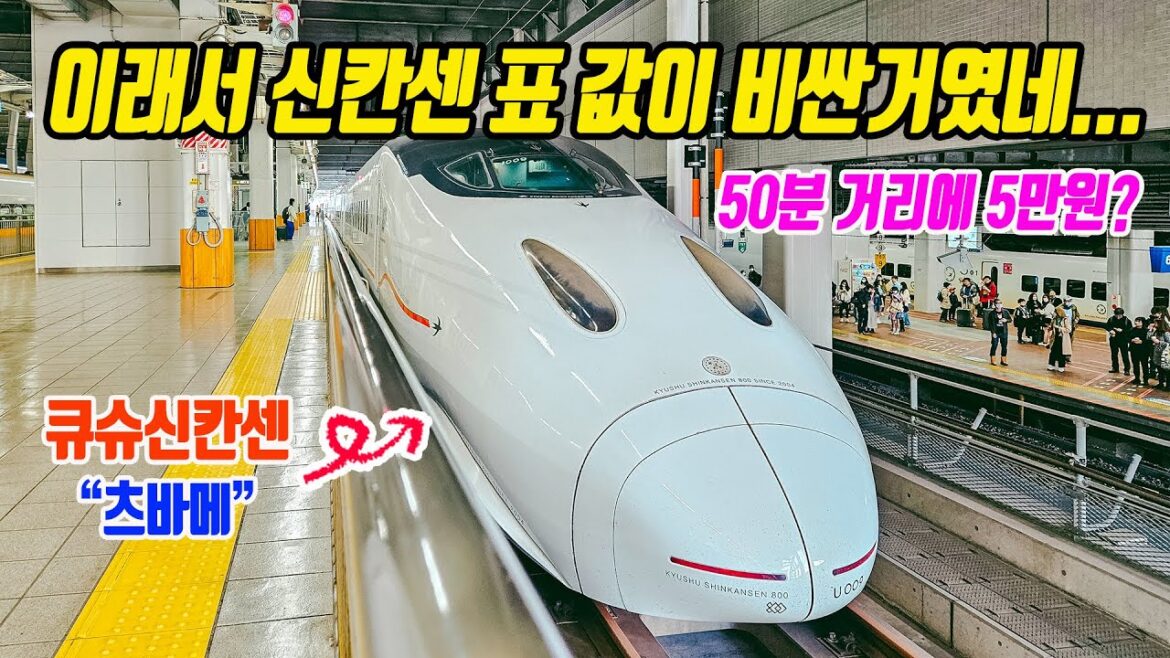 하카타에서 구마모토까지 큐슈신칸센 츠바메 탑승 후기 (feat. JR 북큐슈레일패스) 하카타에서 구마모토까지 큐슈신칸센 츠바메 탑승 후기 (feat. JR 북큐슈레일패스)