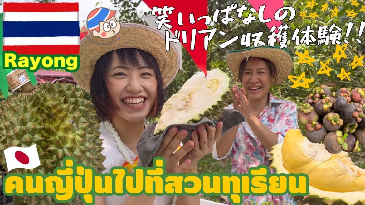 【タイ】初めてのドリアン収穫体験🇹🇭✨あなたは分かる⁉︎モントーンとチャニーの見分け方🙌🏻 【タイ】初めてのドリアン収穫体験🇹🇭✨あなたは分かる⁉︎モントーンとチャニーの見分け方🙌🏻