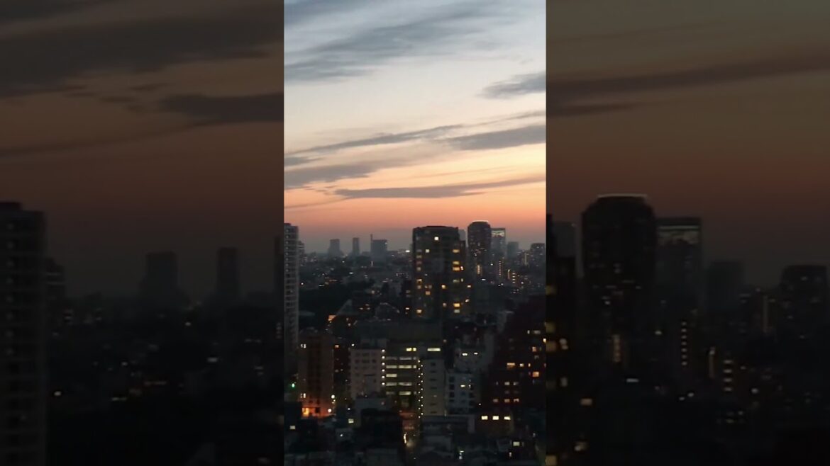 Tokyo sunset #visitjapan #sunset #sky #city #tokyotokyo #japantrip #travel #nature