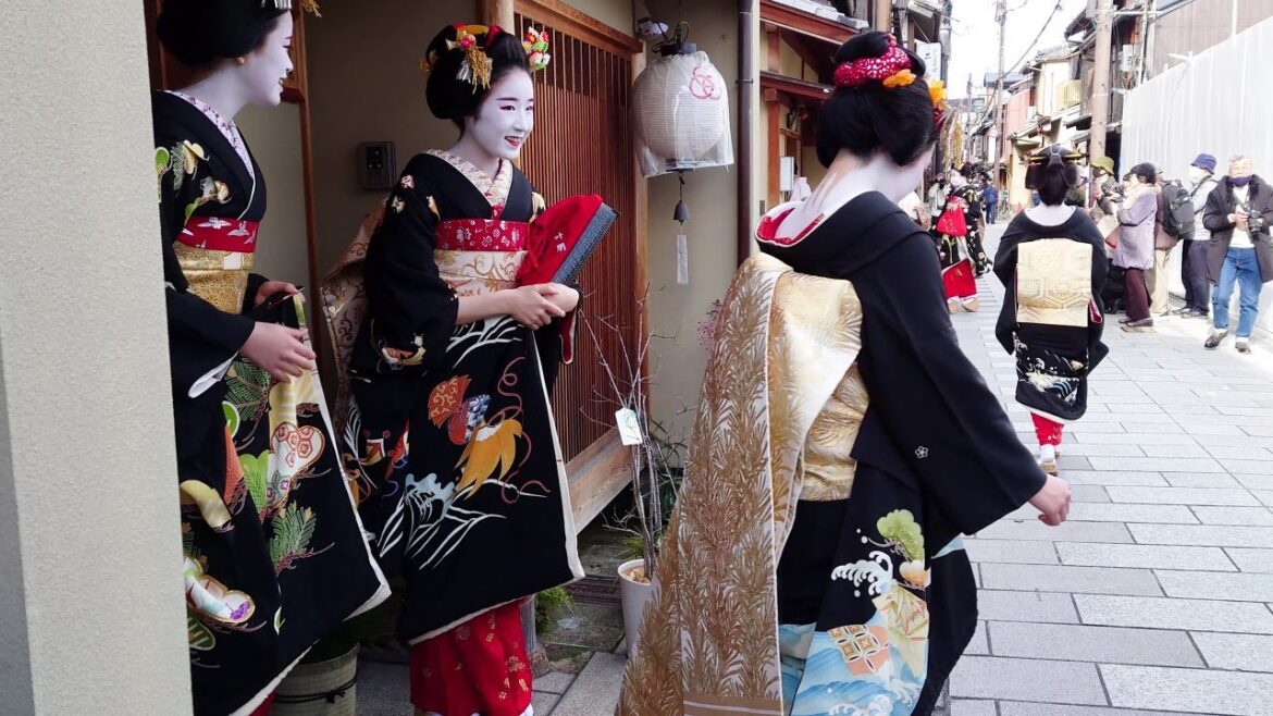 How to meet a Geisha other than Gion in Kyoto | Miyagawacho | Amazing Kimono and Obi | Japan Travel