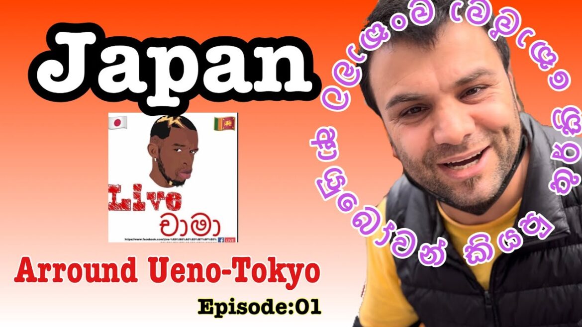 ජපානයේ පිට කොටුව 🇱🇰| Tokyo-Japan🇯🇵 | day vlog | Episode 1