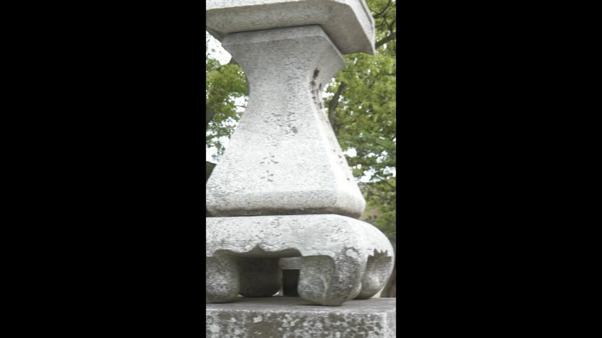 🍜Strolling Around Kurume Area in Fukuoka   #short  #fukuoka #kurume #japan  #shorts 🍜Strolling Around Kurume Area in Fukuoka   #short  #fukuoka #kurume #japan  #shorts
