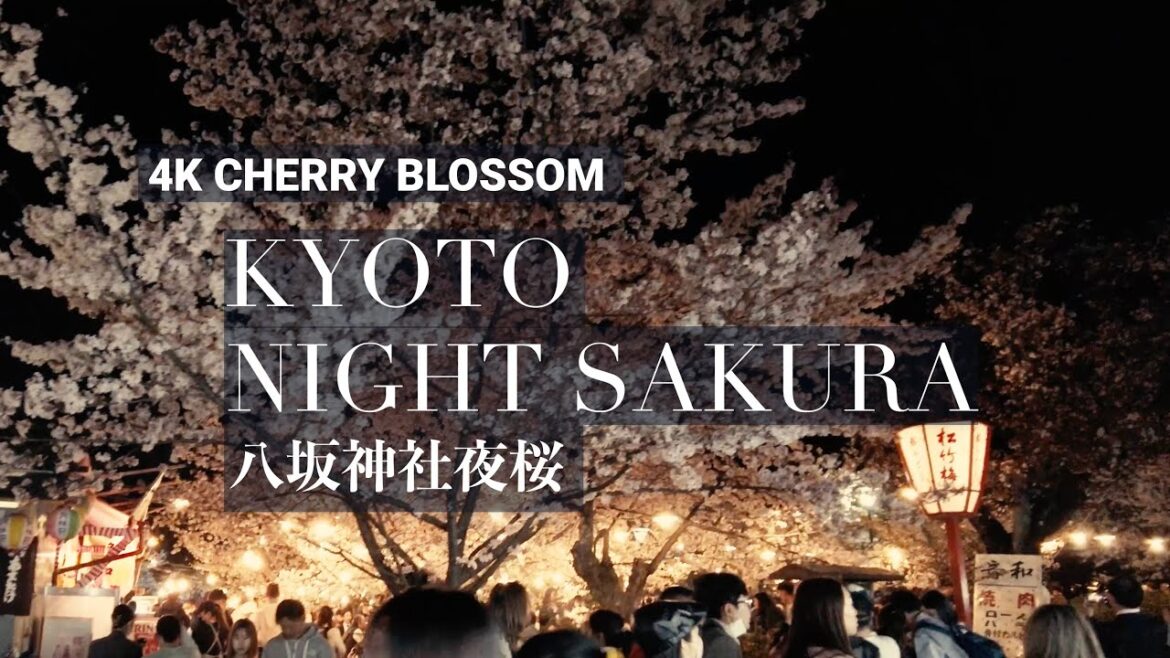 [4K JAPAN] Kyoto Night Sakura Festival: Walking Tour of Yasaka Shrine & Food Night Market  #4k #八坂神社