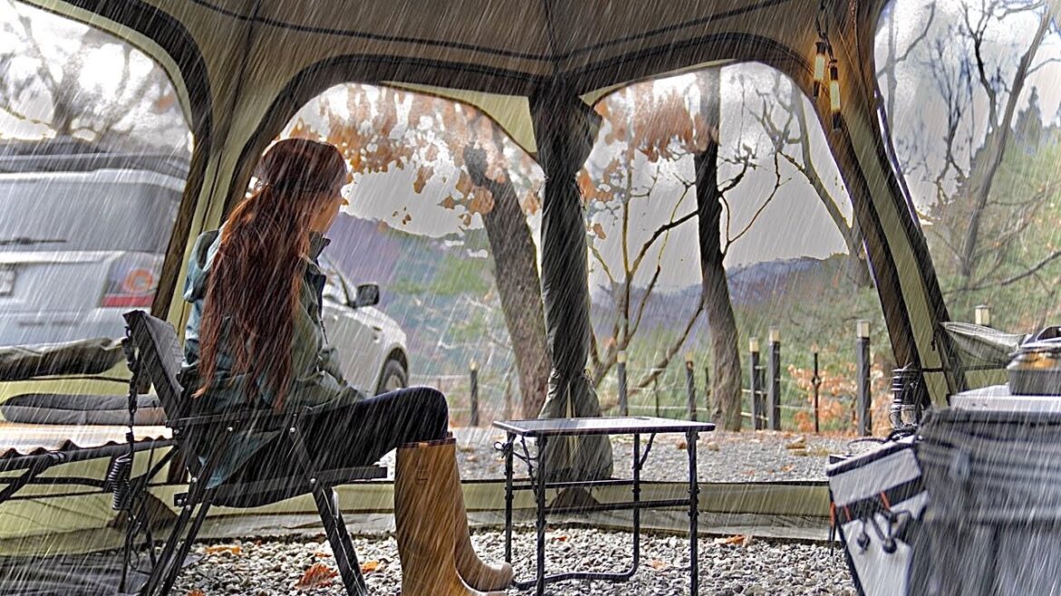 Lonely solo camping in the Rain with big dog in cozy tent  ☔ rain ASMR