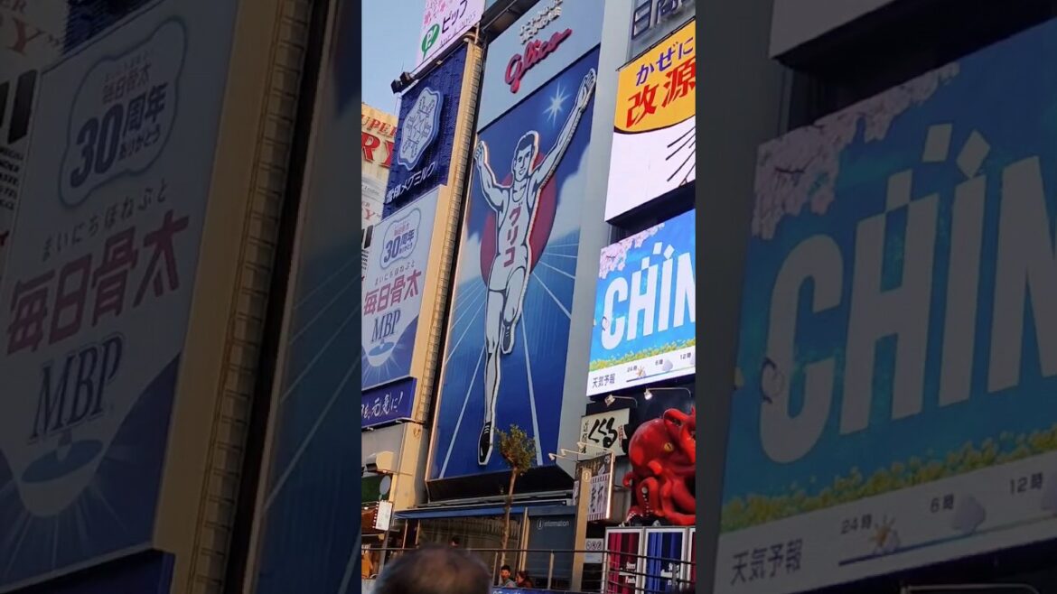 Day 5 Osaka #japan #travel #anime #onepiece #osaka