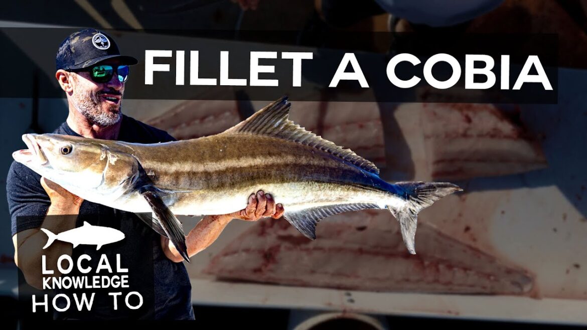 How to Fillet a Cobia with Capt. Rush Maltz