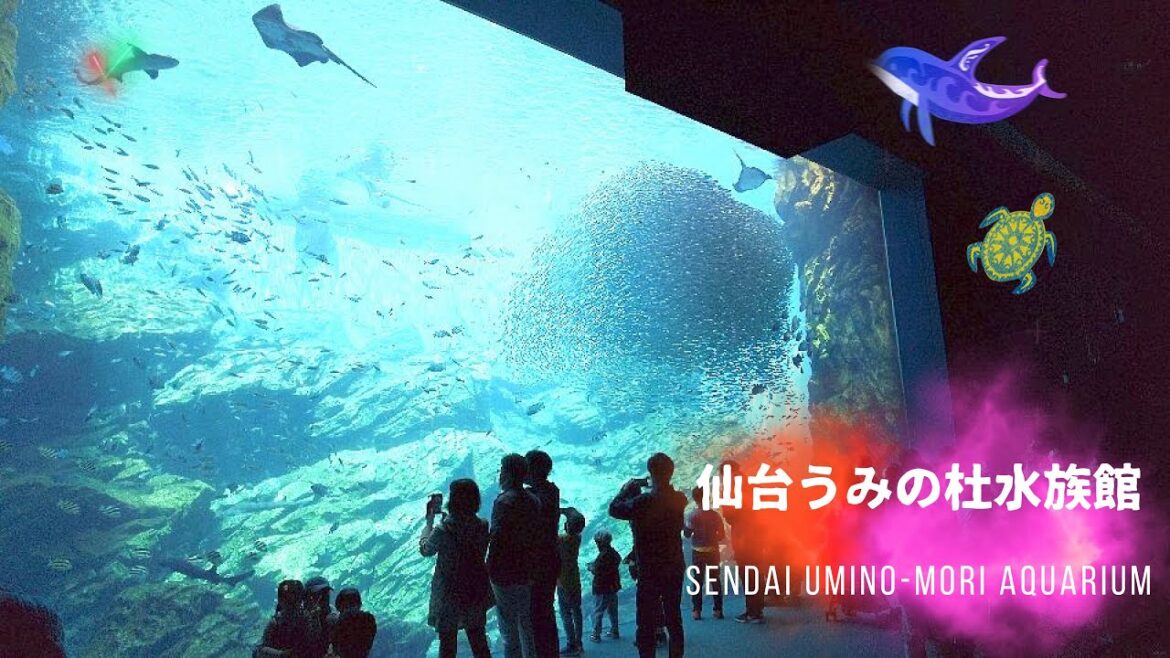 豊かな三陸の海を再現「仙台うみの杜水族館」宮城県仙台市 Sendai Umino-Mori Aquarium
