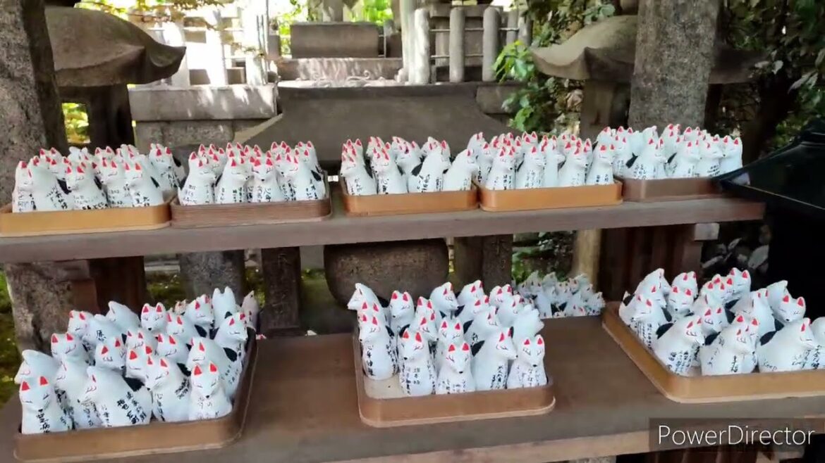 【神戸市】Une journée à KOBE (partie 2) 🌺 【神戸市】Une journée à KOBE (partie 2) 🌺