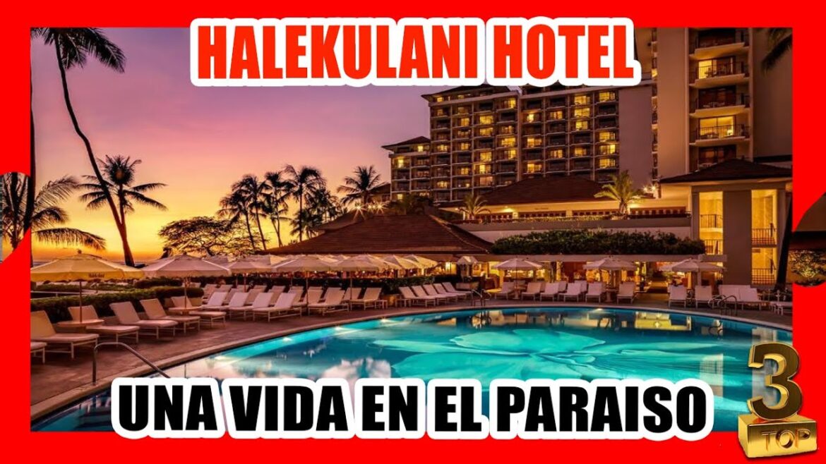 HALEKULANI HOTEL 🚀 LA MEJOR VIDA TURISTICA DISFRUTADA EN HAWAI 🏆2023 (TOP 3 DEL MUNDO) HALEKULANI HOTEL 🚀 LA MEJOR VIDA TURISTICA DISFRUTADA EN HAWAI 🏆2023 (TOP 3 DEL MUNDO)