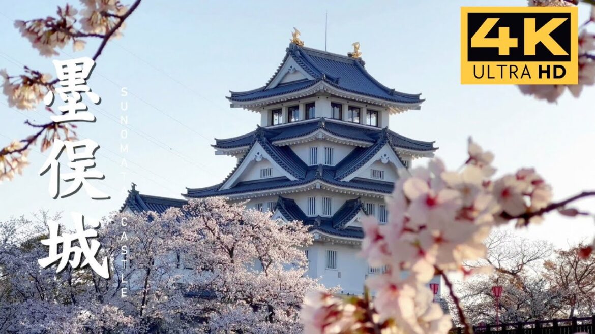 Sunomata Castle - Cherry Blossom Festival 2023, Japan |【墨俣一夜城】桜まつり• 満開
