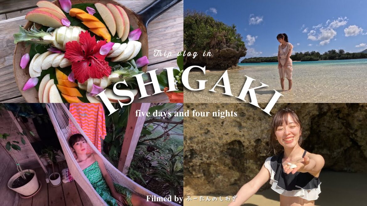 【 vlog 】海も山も離島も満喫する4泊5日石垣島旅行 ~ 竹富島 / 川平湾 /野底マーペー/Trip vlog in Ishigaki island. 【 vlog 】海も山も離島も満喫する4泊5日石垣島旅行 ~ 竹富島 / 川平湾 /野底マーペー/Trip vlog in Ishigaki island.