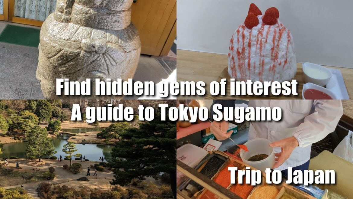 Find hidden gems of interest in Japan. A guide to Tokyo Sugamo. Find hidden gems of interest in Japan. A guide to Tokyo Sugamo.