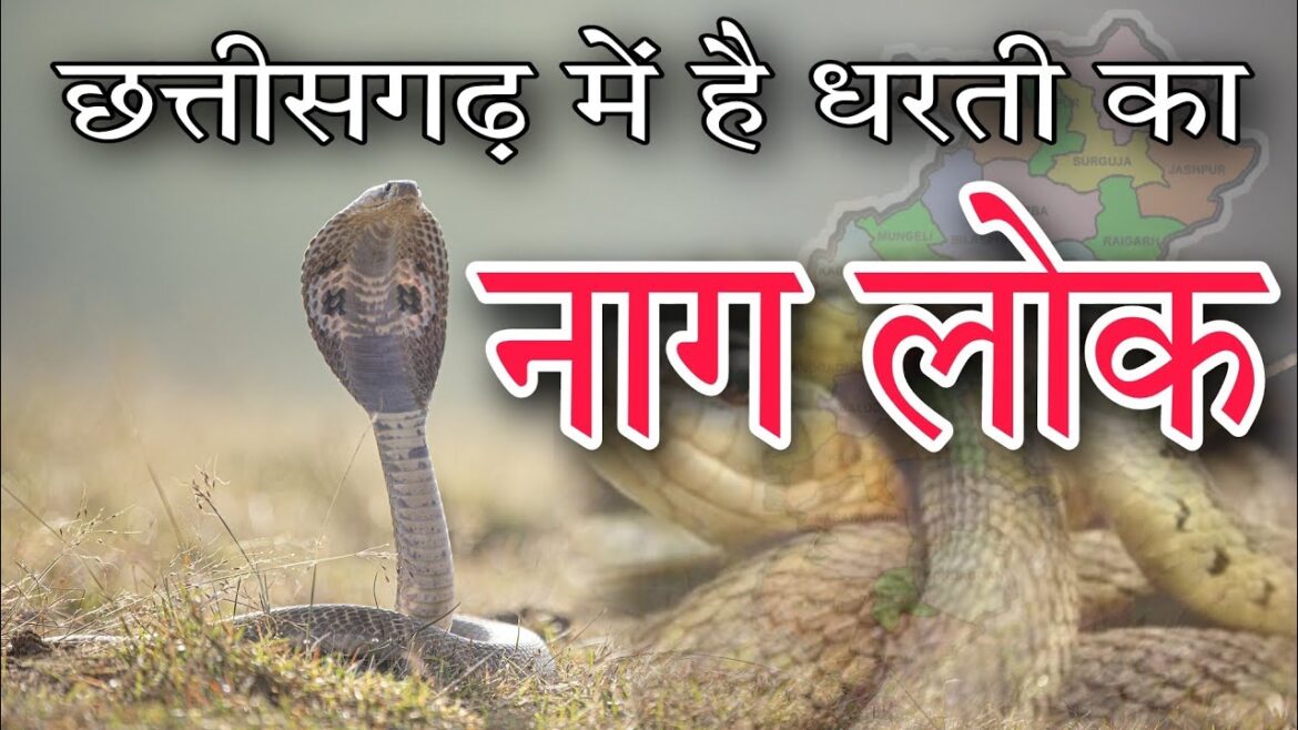 छत्तीसगढ़ में है धरती का नाग लोक । Tapkara chhattisgarh । Snake point । Jashpur