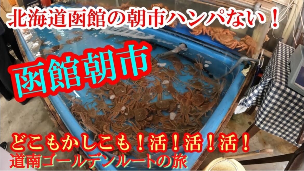 函館のシンボル「函館朝市」を散策！人生初めて北海道 道南の旅