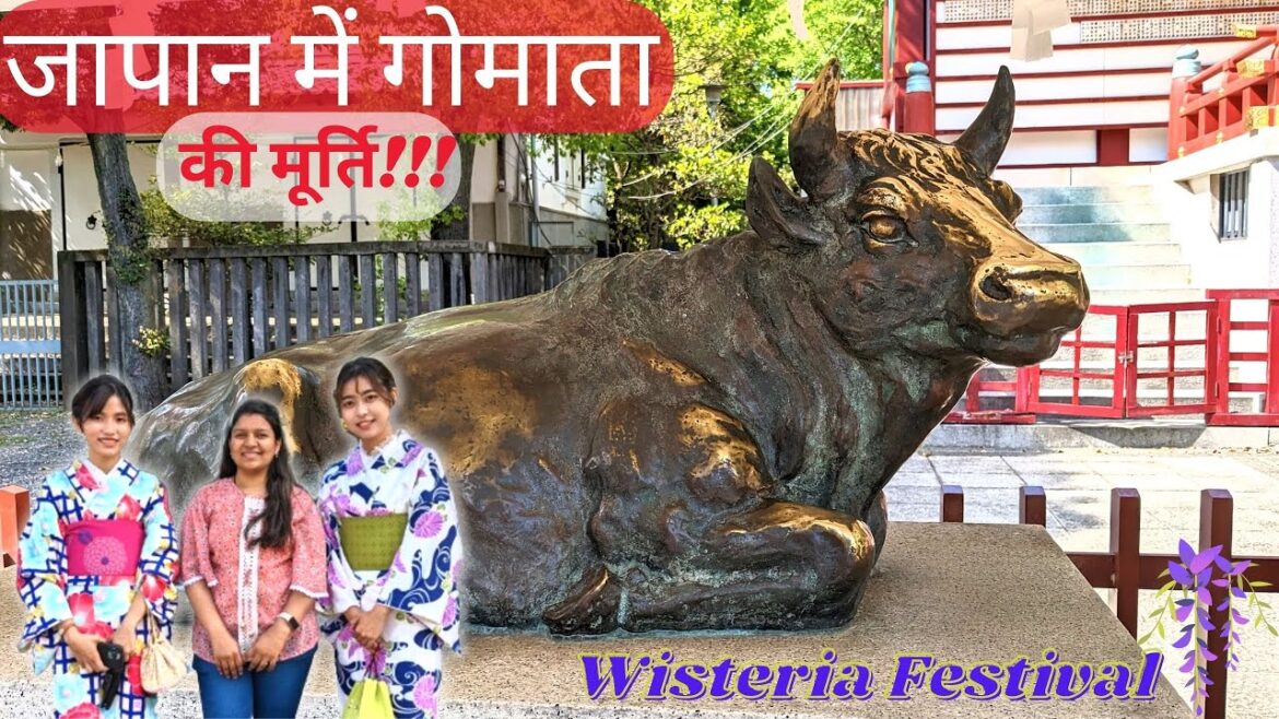 जापान में गोमाता की मूर्ति | Wisteria Festival | Kameido Tenjin Shrine जापान में गोमाता की मूर्ति | Wisteria Festival | Kameido Tenjin Shrine