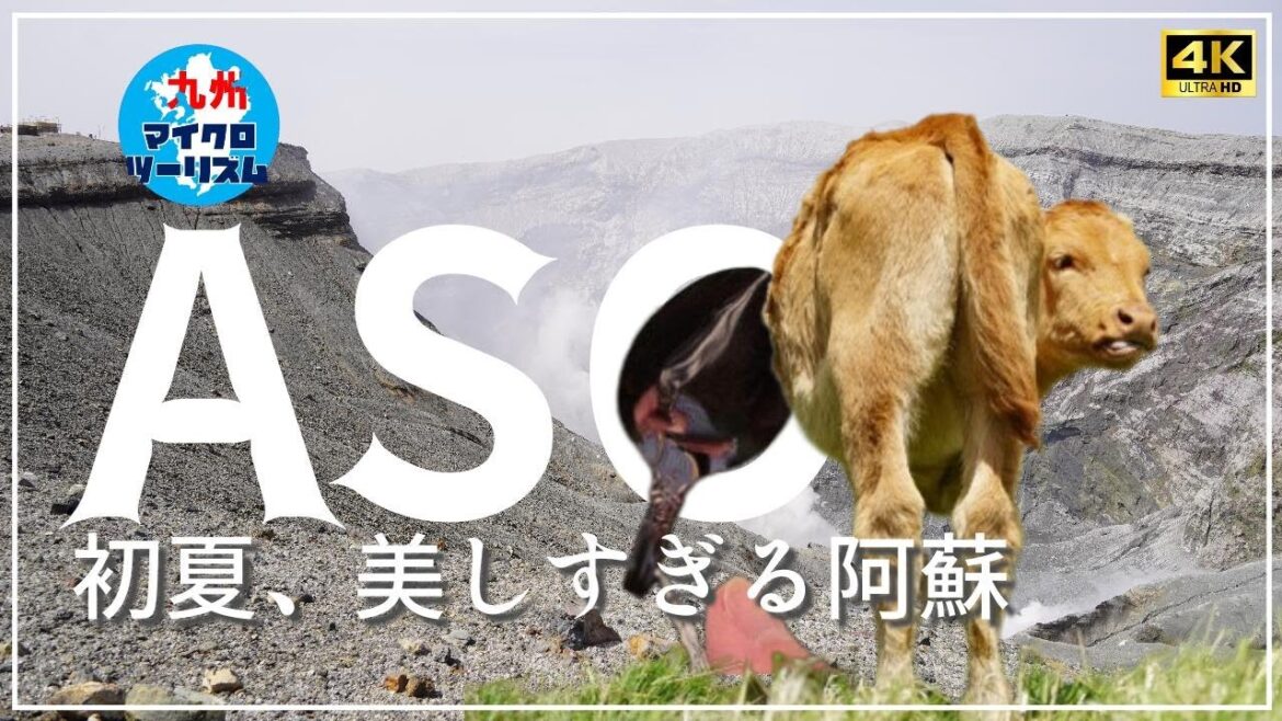 【初夏、美しすぎる阿蘇】阿蘇観光の王道である中岳火口と草千里、その雄大さと美しさは今も健在だった