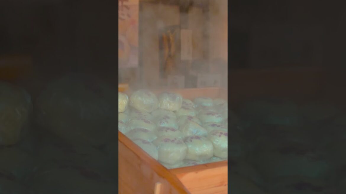 Traditional Japanese Street food in Kawagoe | Amazing Japan Travel Adventure Documentary Traditional Japanese Street food in Kawagoe | Amazing Japan Travel Adventure Documentary