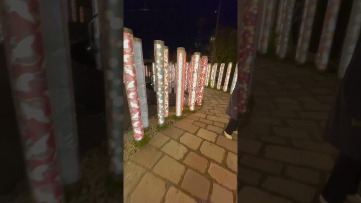 Japan - Kyoto - Arashiyama - Kimono Forest