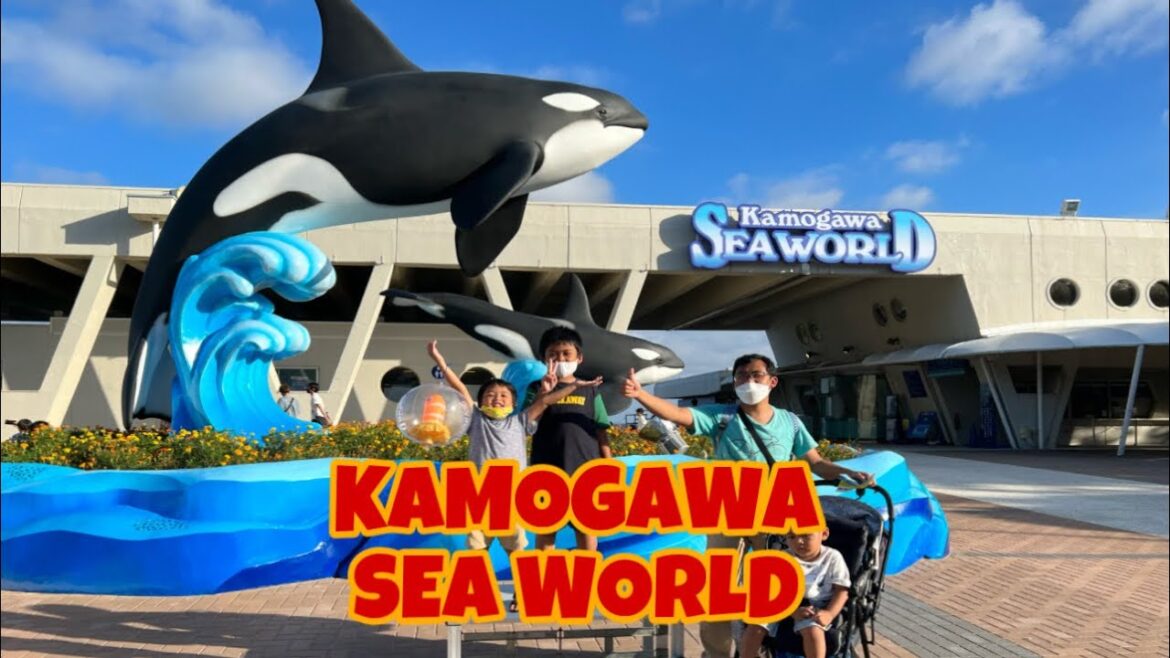 KAMOGAWA SEAWORLD AQUARIUM RAKSASA DENGAN ATRAKSI PAUS ORCA YANG SANGAT SERU KAMOGAWA SEAWORLD AQUARIUM RAKSASA DENGAN ATRAKSI PAUS ORCA YANG SANGAT SERU