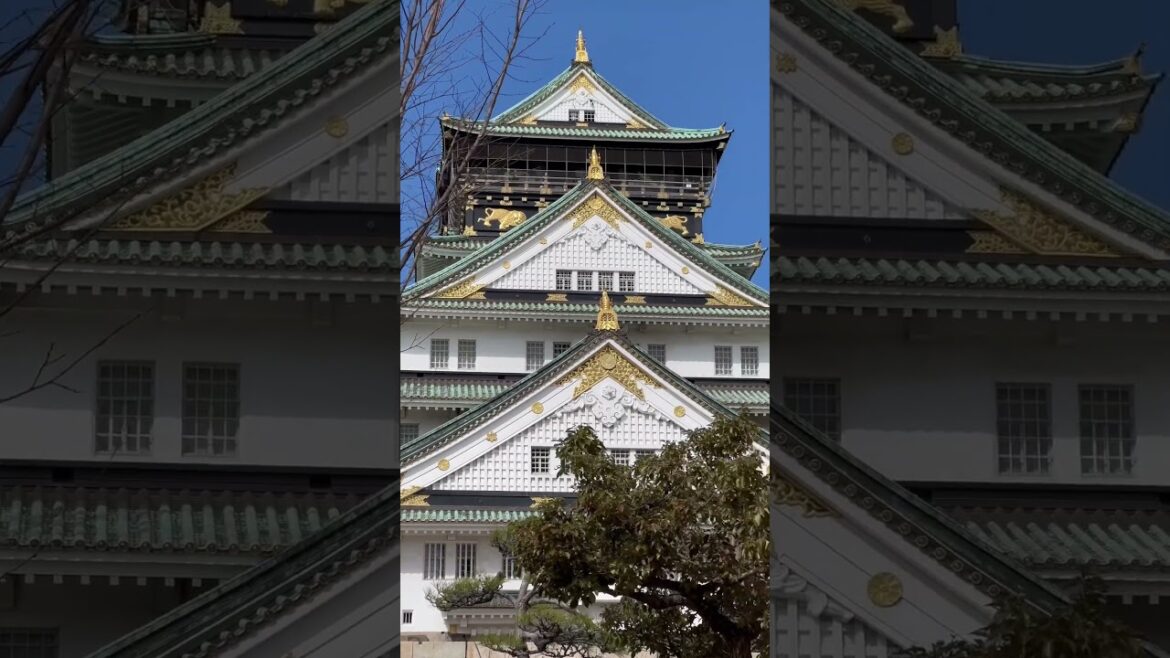 Osaka Castle: A Must-Visit Destination for History Lovers