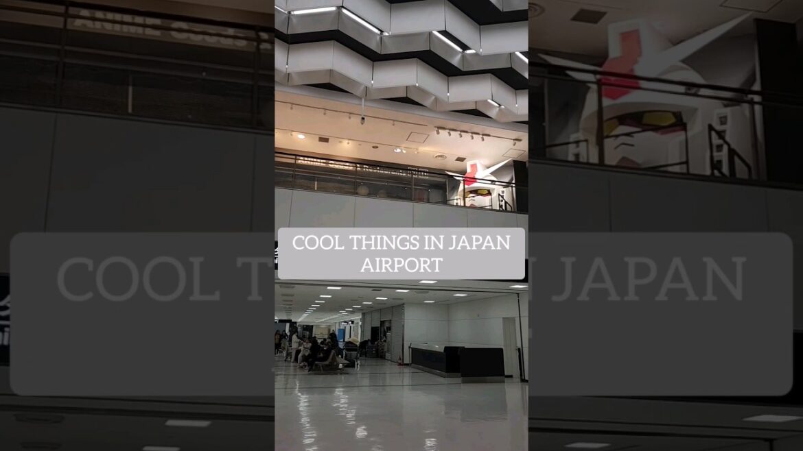 Cool things in Japan Airport #japan #travel #naritaairport #anime #supermario #narita #capsulehotel