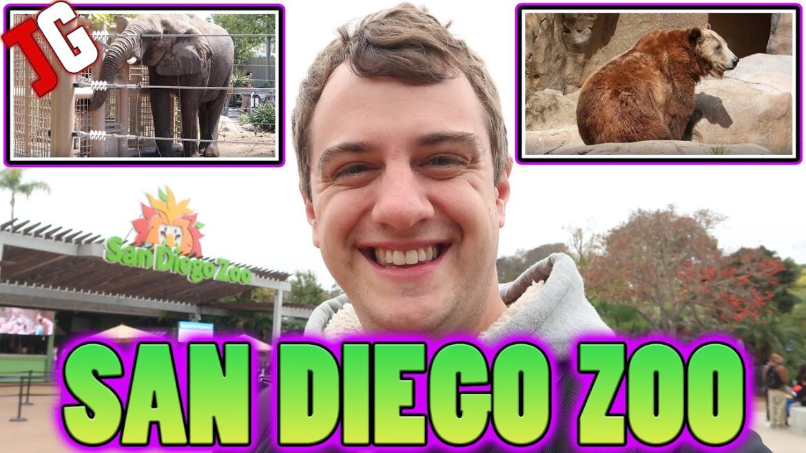 San Diego Zoo Tour - Lions, Tigers, And Bears (& Prado Restaurant Review)!