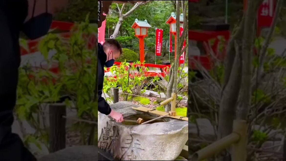 Fukuoka 60s shorts montage