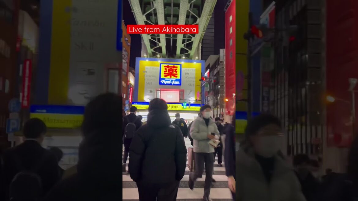 Akihabara: Exploring Tokyo's Electric Town