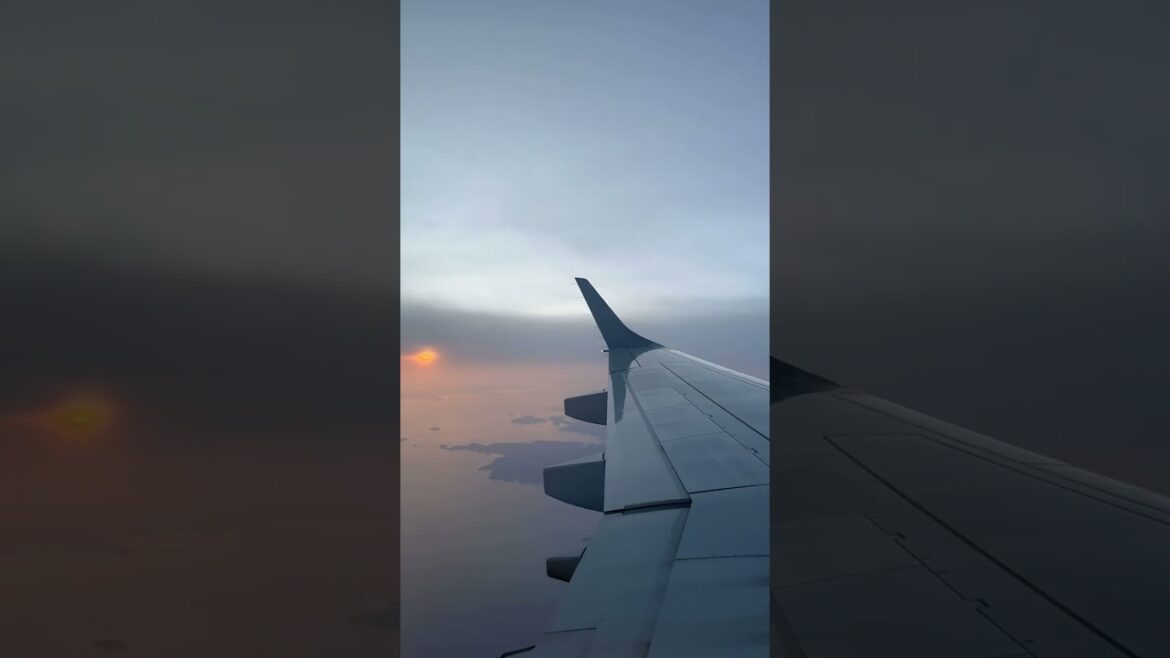 Sunset flight Kagoshima to Osaka 鹿児島空港→伊丹空港  #shorts