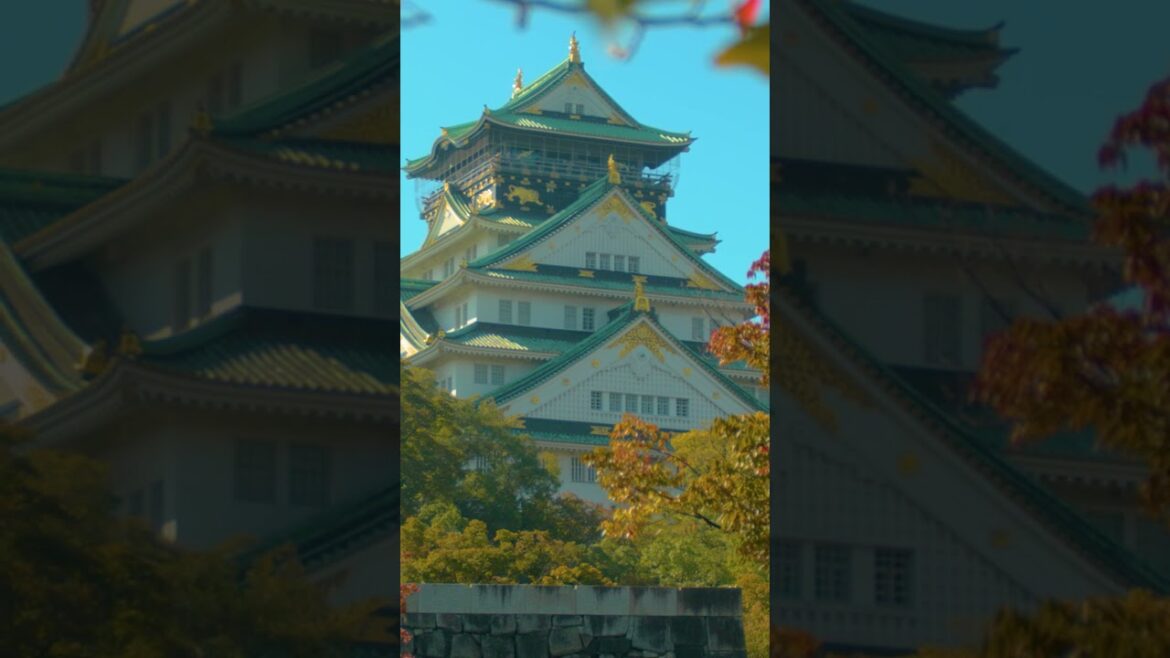 Stunning autumn views of Osaka castle | Amazing Japan Travel Adventure Documentary