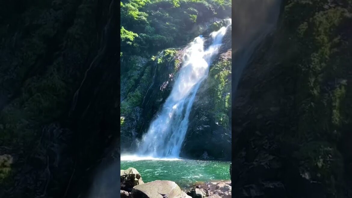 Japan Trip : Yakushima Ohko water wall #japantrip
