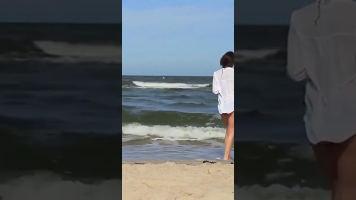 Beach Girl on the Nude Beach 😍🔥🌴 #viral #shorts #yt #beach #beachlife #bikini #girls #reels #babe Beach Girl on the Nude Beach 😍🔥🌴 #viral #shorts #yt #beach #beachlife #bikini #girls #reels #babe