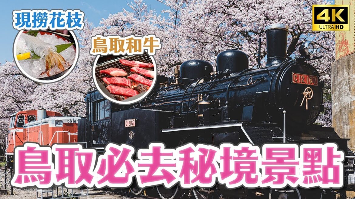 2023鳥取必去秘境景點!鳥取和牛、賀露市場海鮮、若櫻鐵道、白兔神社、青島櫻花秘境、倉吉白壁土藏群|鳥取自由行攻略・日本旅遊4K VLOG 2023鳥取必去秘境景點!鳥取和牛、賀露市場海鮮、若櫻鐵道、白兔神社、青島櫻花秘境、倉吉白壁土藏群|鳥取自由行攻略・日本旅遊4K VLOG