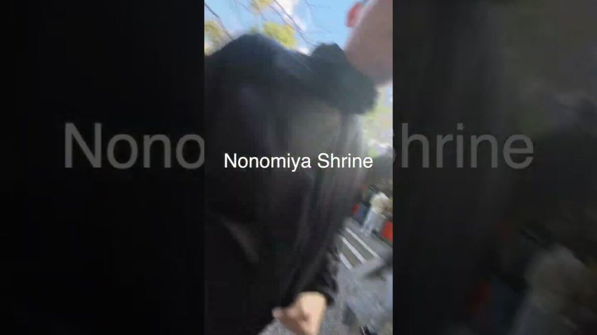 Japan - Kyoto - Arashiyama - Bamboo forest