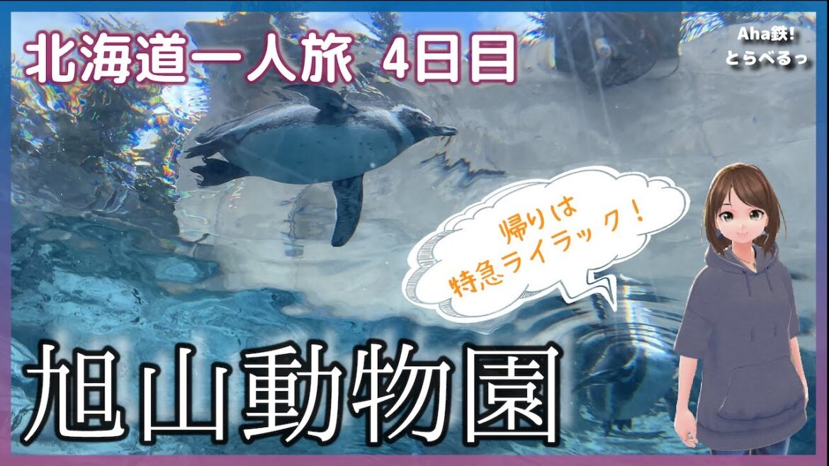 【鉄道vlog】［ナレーション付］　旭川・旭山動物園へ初訪問！動物たちに癒された後は特急ライラックで札幌まで「Peachひがし北海道フリーパス」で北海道一人旅！（4日目）ファイナル　2022年11月