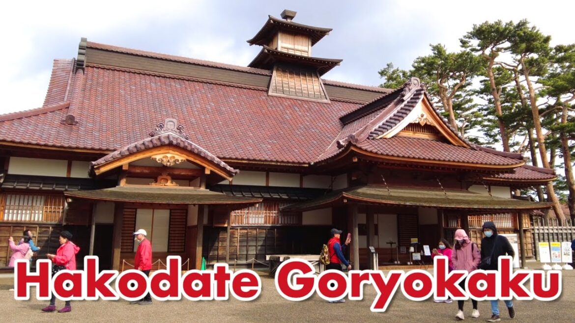 【五稜郭】小雨ふる桜の散策路 Walking path of cherry blossoms in light rain 【五稜郭】小雨ふる桜の散策路 Walking path of cherry blossoms in light rain