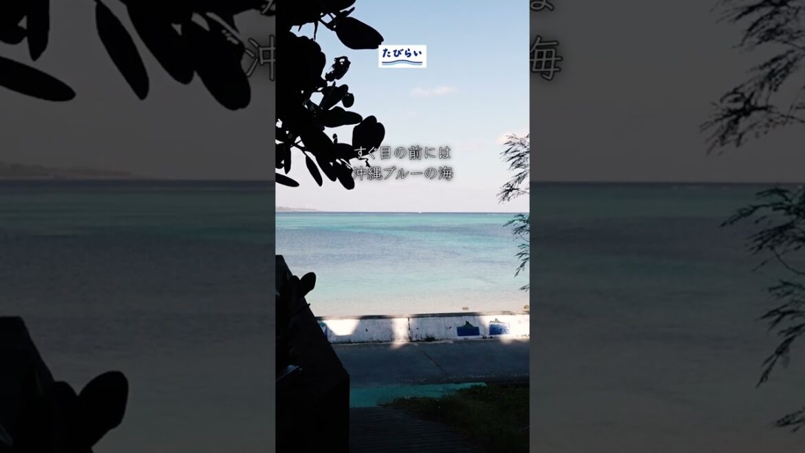 【限定1日1組】専属バトラーが迎える海辺のシークレットヴィラ／たびらい沖縄