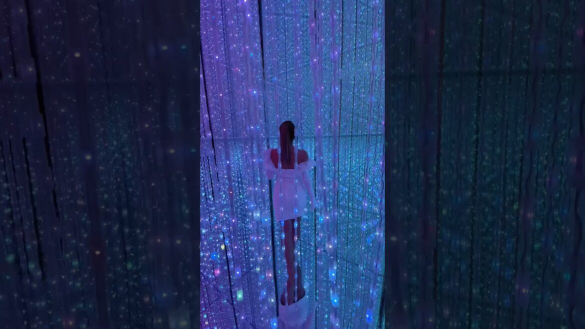 TeamLab Planet at Tokyo 🇯🇵 What an Extraordinary Experience 🤍 #japanVlog #VisitTokyo #JapanTravel