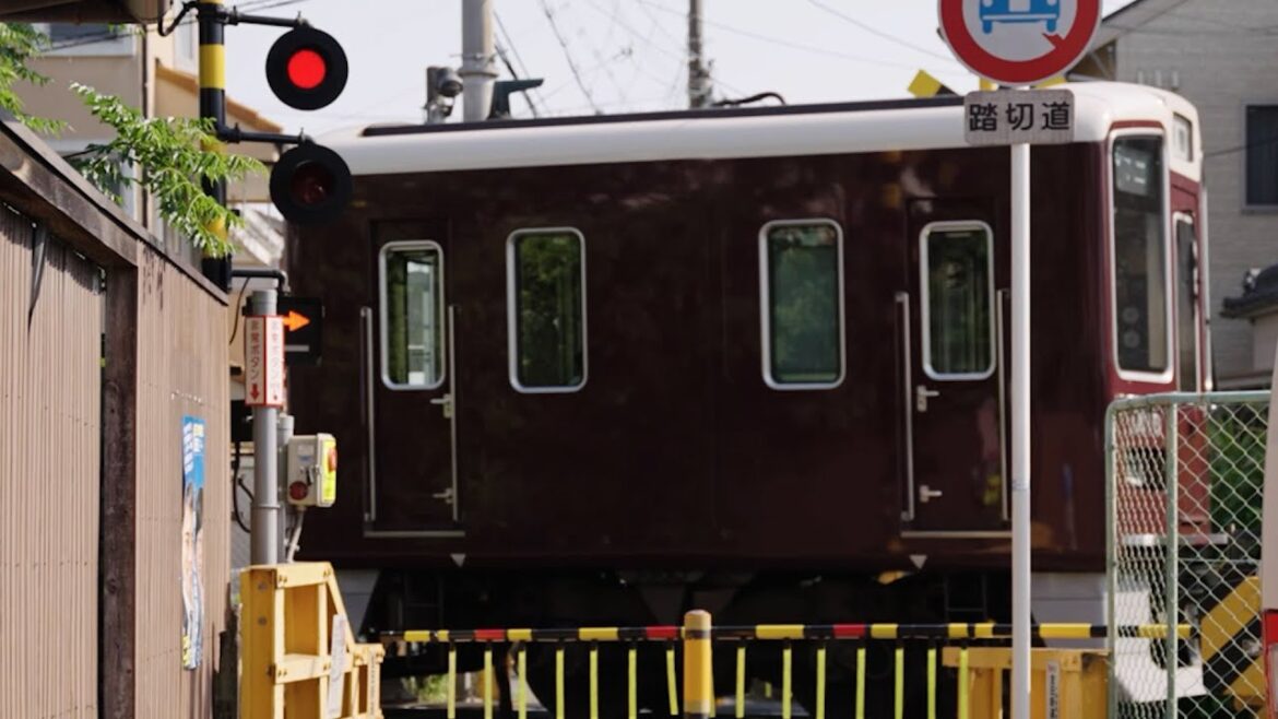 Japan's Shortest Train 😮