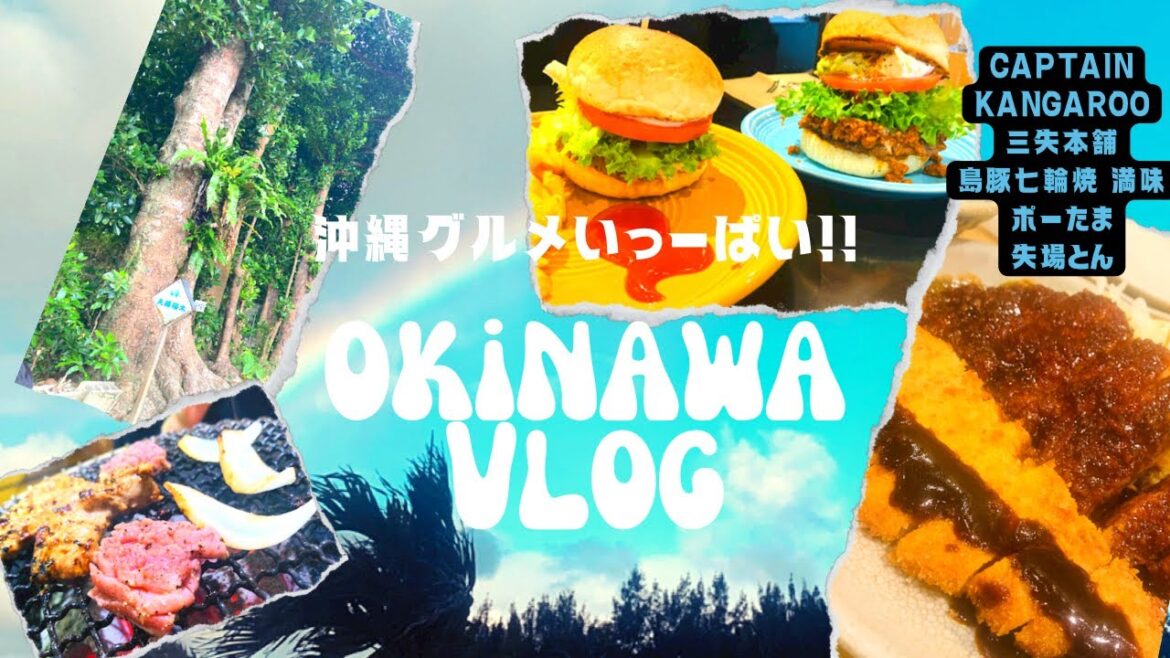 【冬の沖縄旅行VLOG#5】名護で美味しいもの巡り【CAPTAIN KANGAROO、島豚七輪焼 満味、ホテル日航アリビラ、備瀬のフクギ並木、おんなの駅なかゆくい市場、道の駅許田】 【冬の沖縄旅行VLOG#5】名護で美味しいもの巡り【CAPTAIN KANGAROO、島豚七輪焼 満味、ホテル日航アリビラ、備瀬のフクギ並木、おんなの駅なかゆくい市場、道の駅許田】