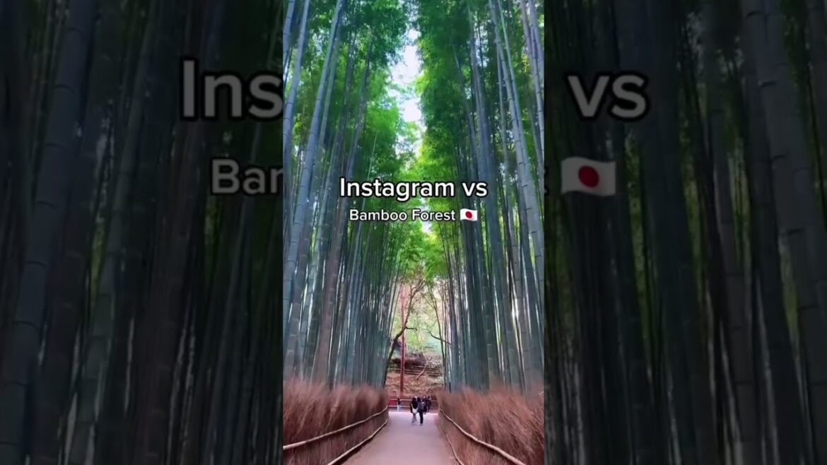 From Hashtag to Reality: Viral Destinations😮🌍 #shorts #travel #viral