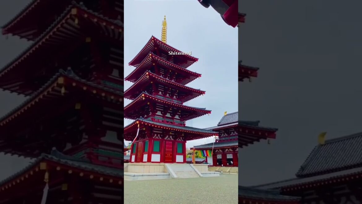 ONLY IN OSAKA!!! 🫢😳 #shorts #travel #holiday #explore