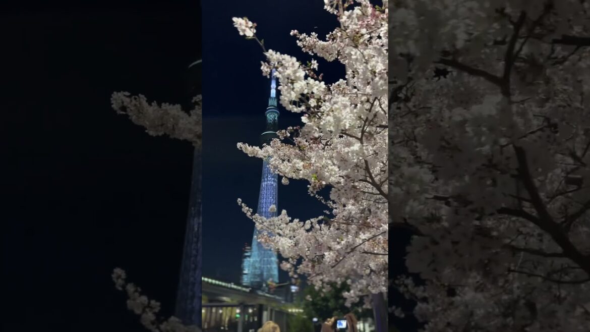 Tokyo Tree Station. #japan #tower #spring #2023 #vacation #travel #sakura #train #explore #tokyo