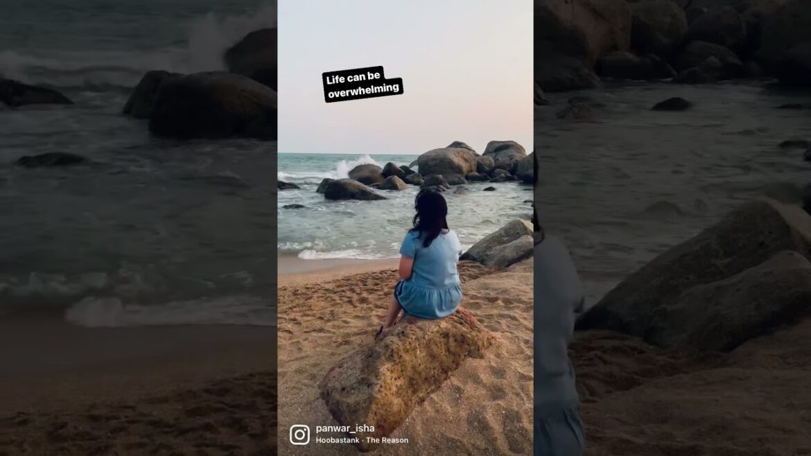 Finding Inner Peace: The Importance of Taking Breaks to Recharge & Refuel #ytshorts #youtubeshorts